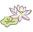 厄除けまんじゅう