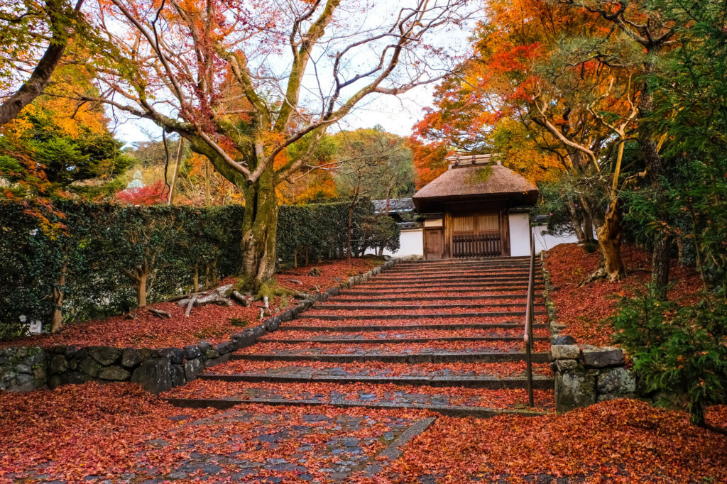 安楽寺～国宝・八角三重塔から御朱印まで。信州最古のお寺へ行こう