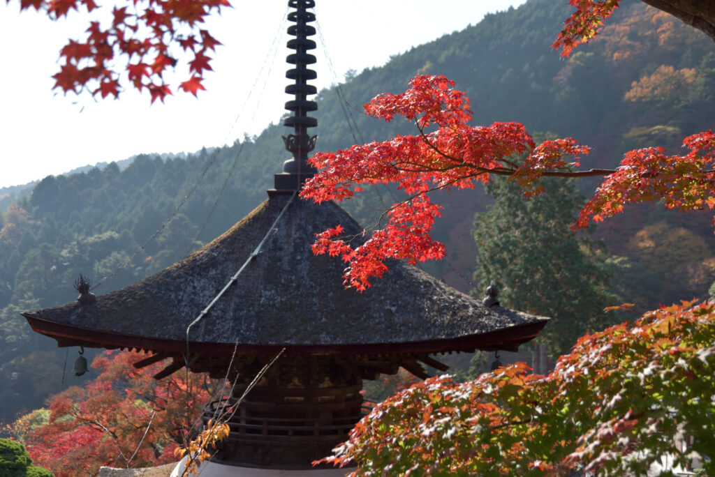 大湯薬師堂～ねじり紅葉は秋が見頃。病気平癒の神社で健康祈願